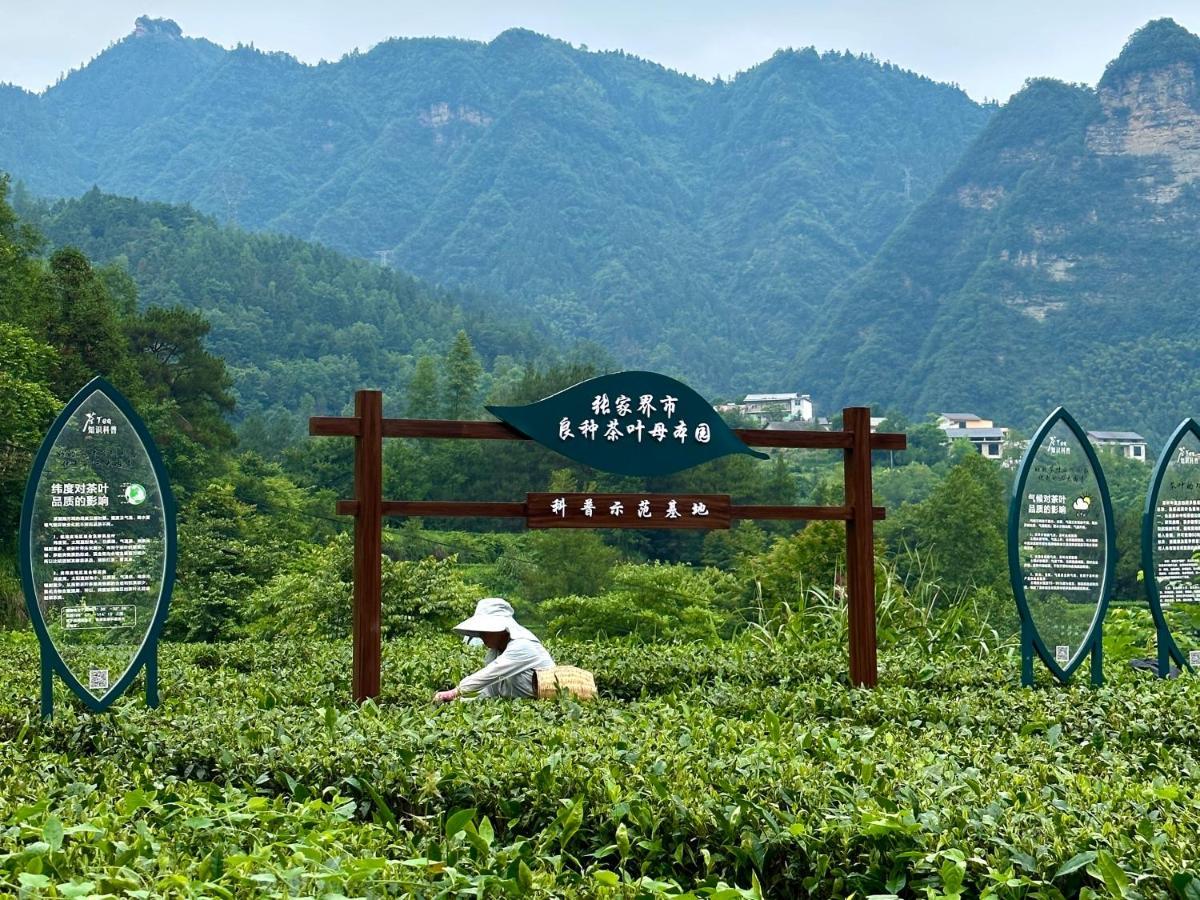 Zhangjiajie National Park Nvue Resorts Buitenkant foto