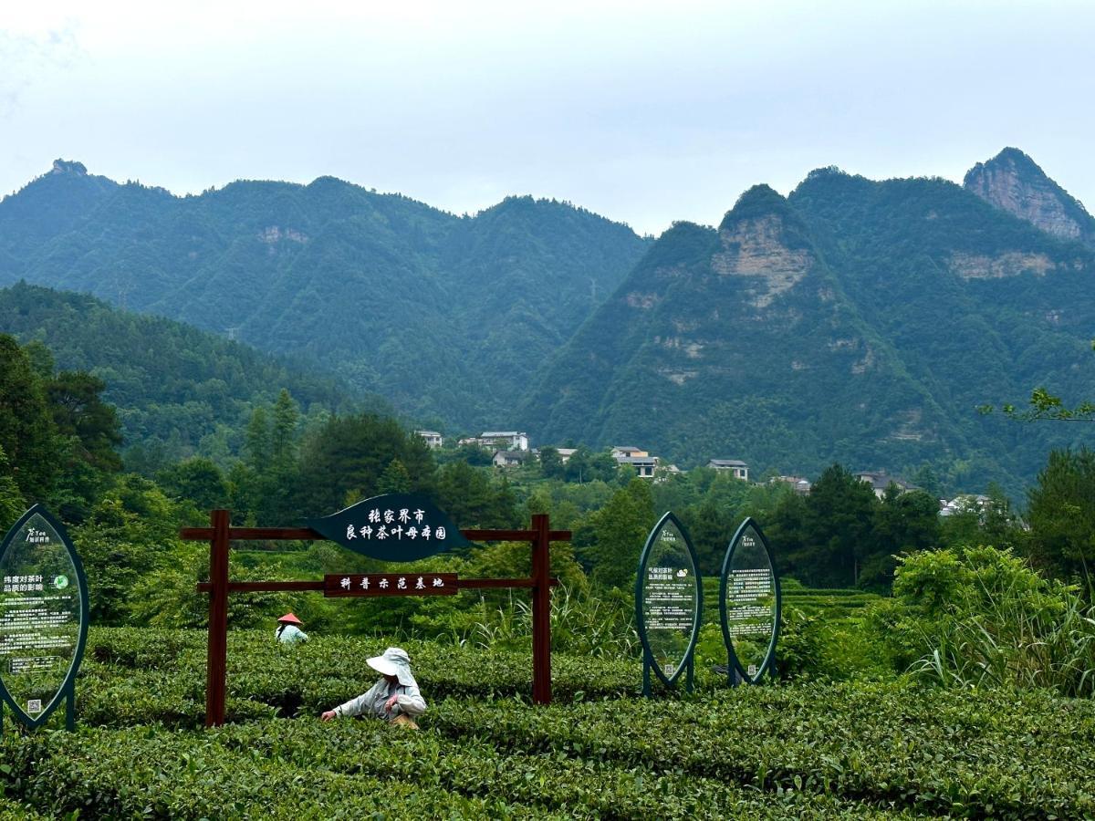 Zhangjiajie National Park Nvue Resorts Buitenkant foto